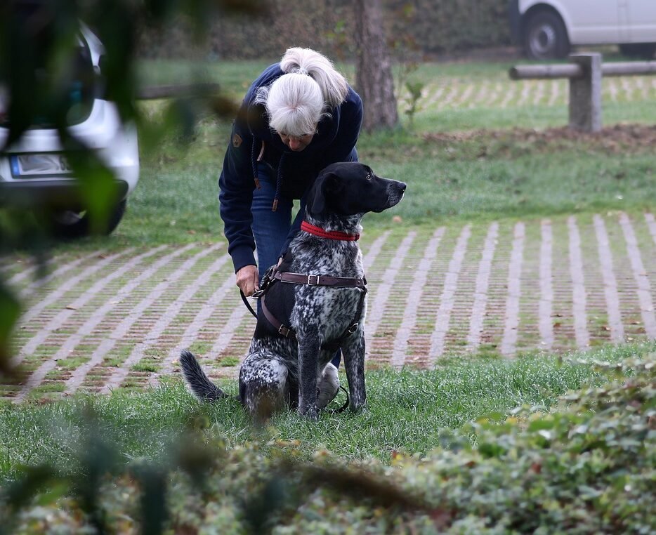 club mantrailing zaragoza